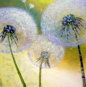 Meet your Posher, Aubrey